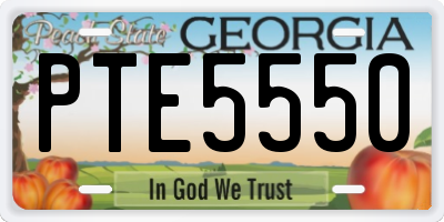 GA license plate PTE5550