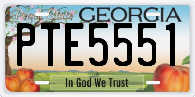 GA license plate PTE5551