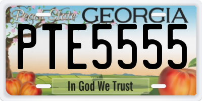 GA license plate PTE5555