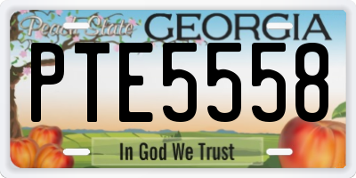 GA license plate PTE5558