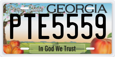 GA license plate PTE5559