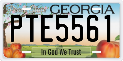 GA license plate PTE5561