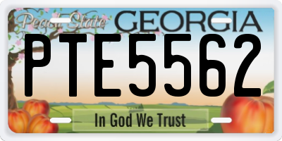 GA license plate PTE5562