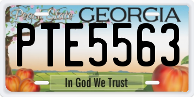GA license plate PTE5563
