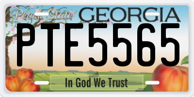 GA license plate PTE5565