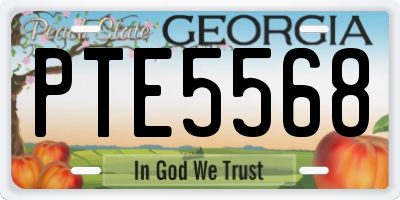 GA license plate PTE5568