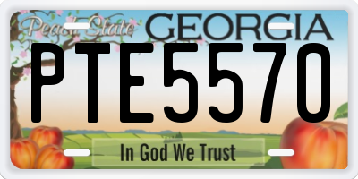 GA license plate PTE5570