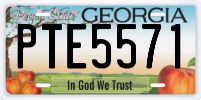 GA license plate PTE5571
