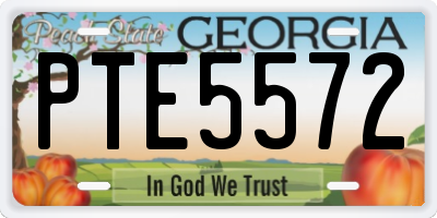GA license plate PTE5572