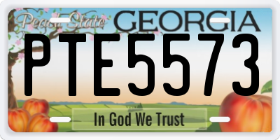 GA license plate PTE5573