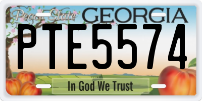 GA license plate PTE5574