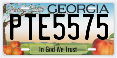 GA license plate PTE5575