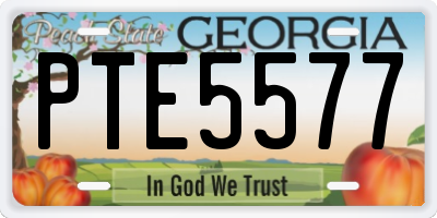 GA license plate PTE5577