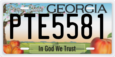 GA license plate PTE5581