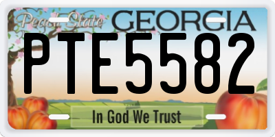 GA license plate PTE5582