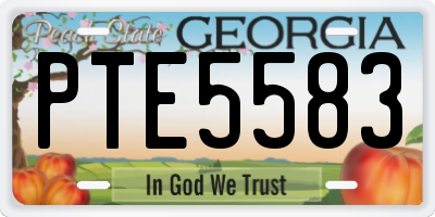 GA license plate PTE5583