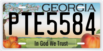 GA license plate PTE5584