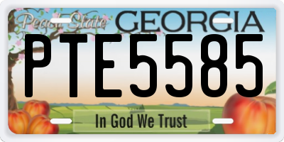 GA license plate PTE5585
