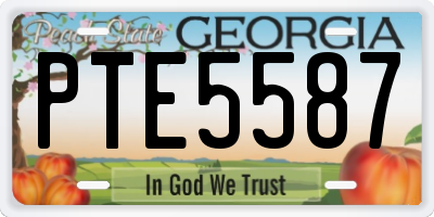 GA license plate PTE5587