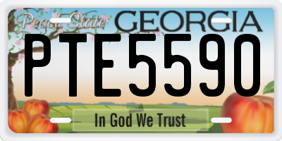 GA license plate PTE5590