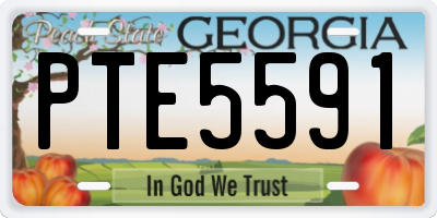 GA license plate PTE5591