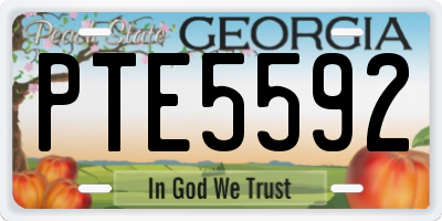 GA license plate PTE5592