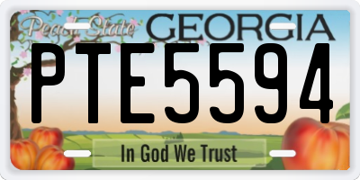 GA license plate PTE5594