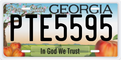 GA license plate PTE5595