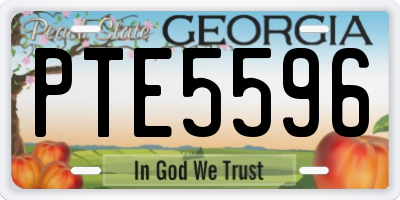 GA license plate PTE5596