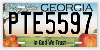 GA license plate PTE5597