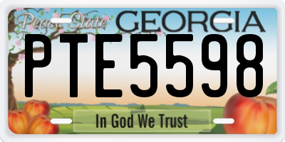 GA license plate PTE5598