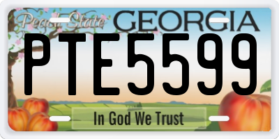 GA license plate PTE5599