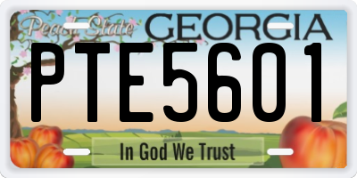 GA license plate PTE5601
