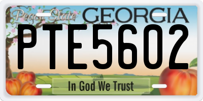 GA license plate PTE5602
