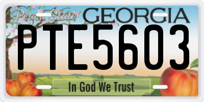 GA license plate PTE5603