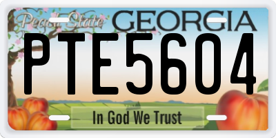 GA license plate PTE5604