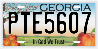 GA license plate PTE5607