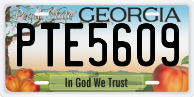 GA license plate PTE5609