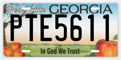 GA license plate PTE5611