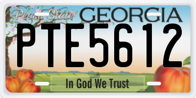 GA license plate PTE5612