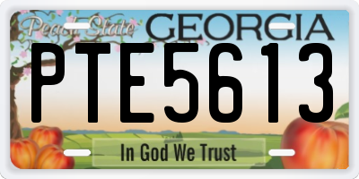 GA license plate PTE5613