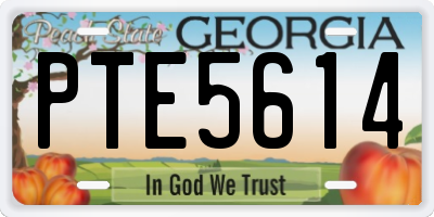 GA license plate PTE5614