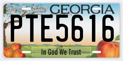 GA license plate PTE5616