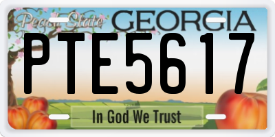 GA license plate PTE5617