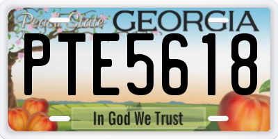 GA license plate PTE5618