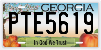 GA license plate PTE5619