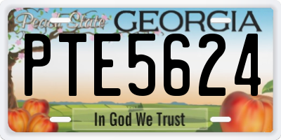 GA license plate PTE5624