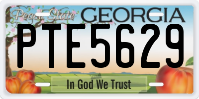 GA license plate PTE5629