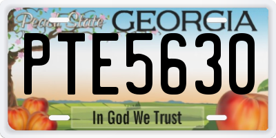 GA license plate PTE5630