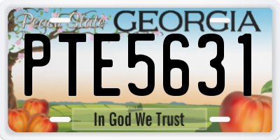 GA license plate PTE5631